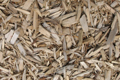 biomass boilers Annishader
